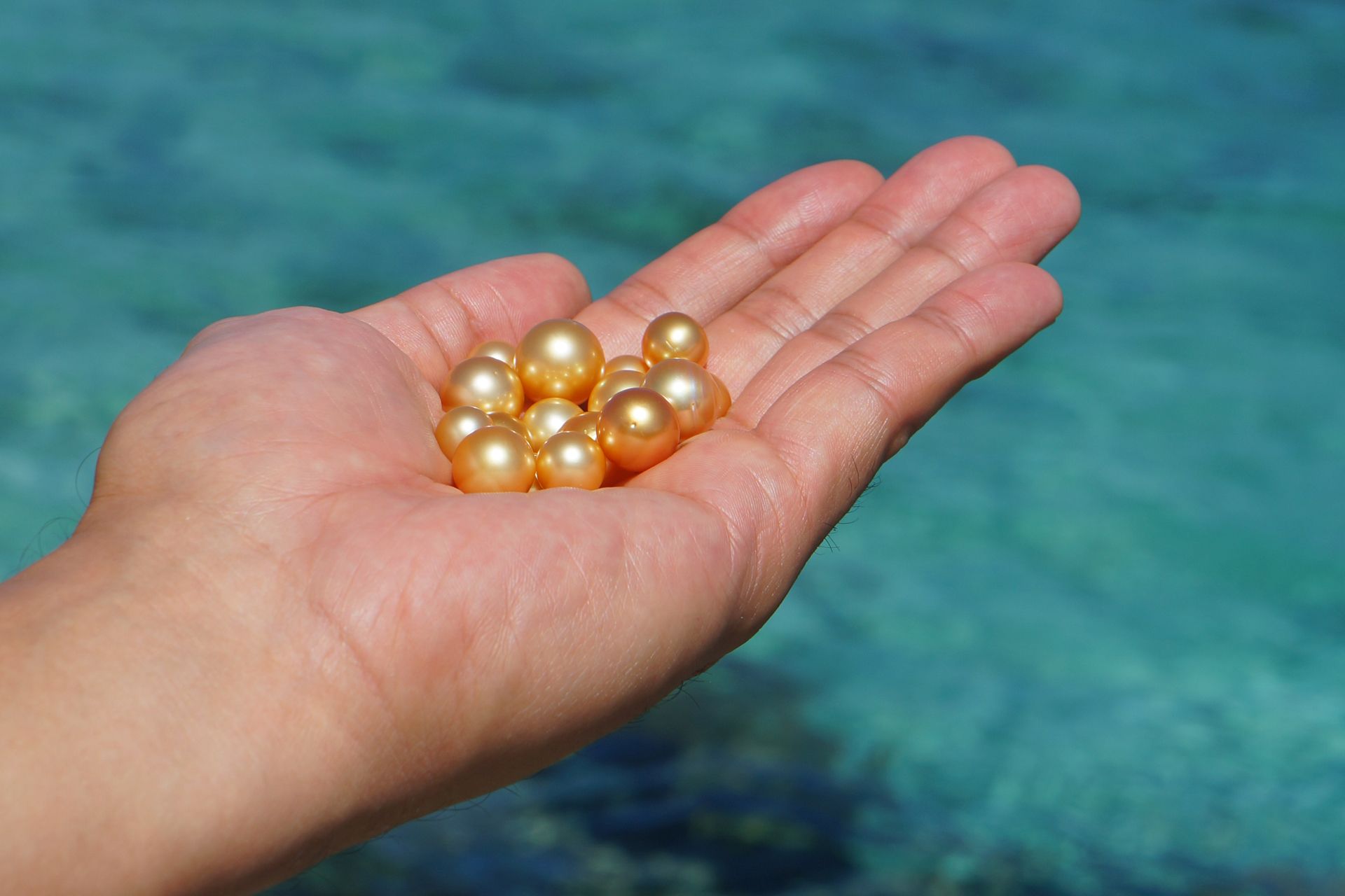 Inside The Jewelmer Pearl Safari with Marc Nelson and Rovilson Fernandez