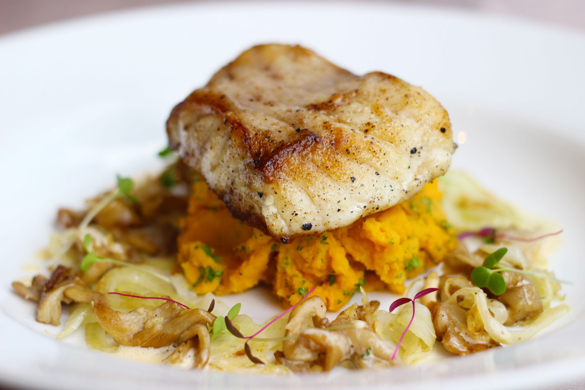 Love Bites this Valentine’s at Restaurant Verbena