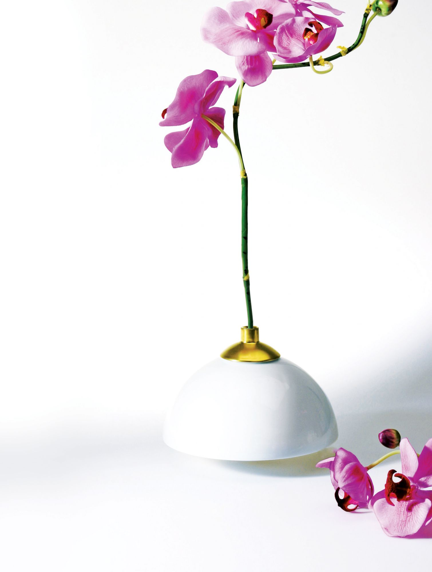 Haute Summer: Chic and Vibrant Furnishings To Jazz Up Your Living Space
