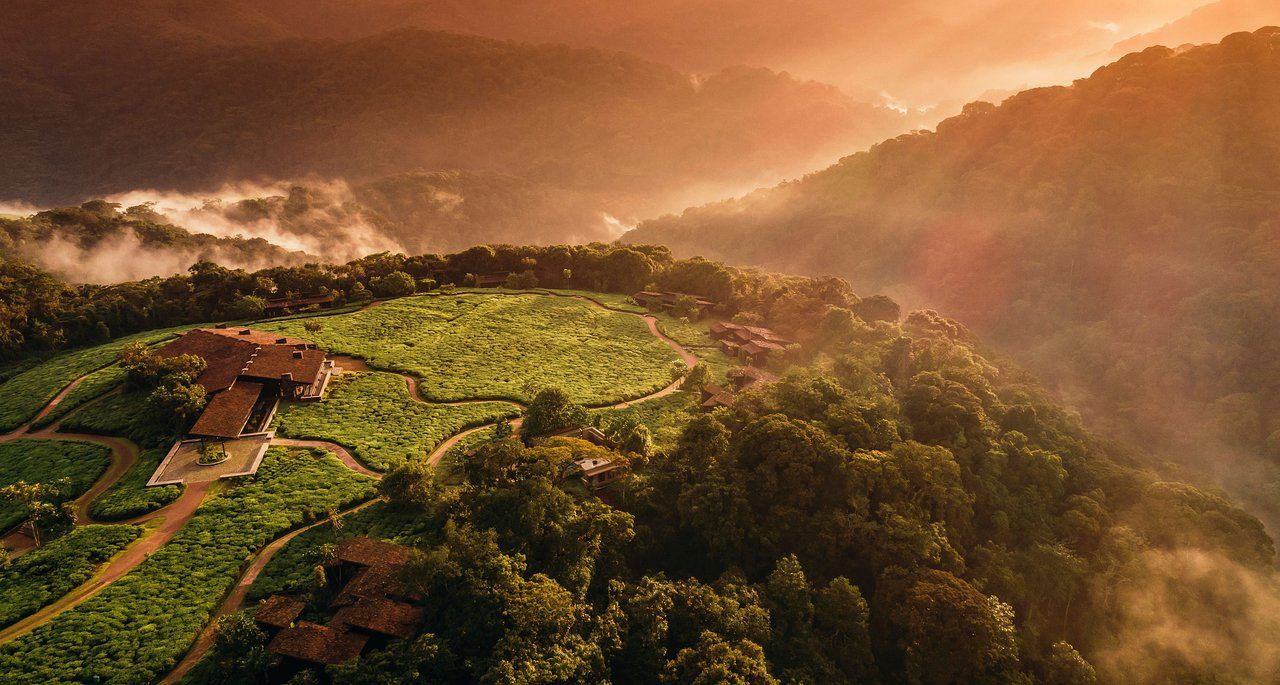 Rwanda: A Luxury Travel Destination For Animal Lovers