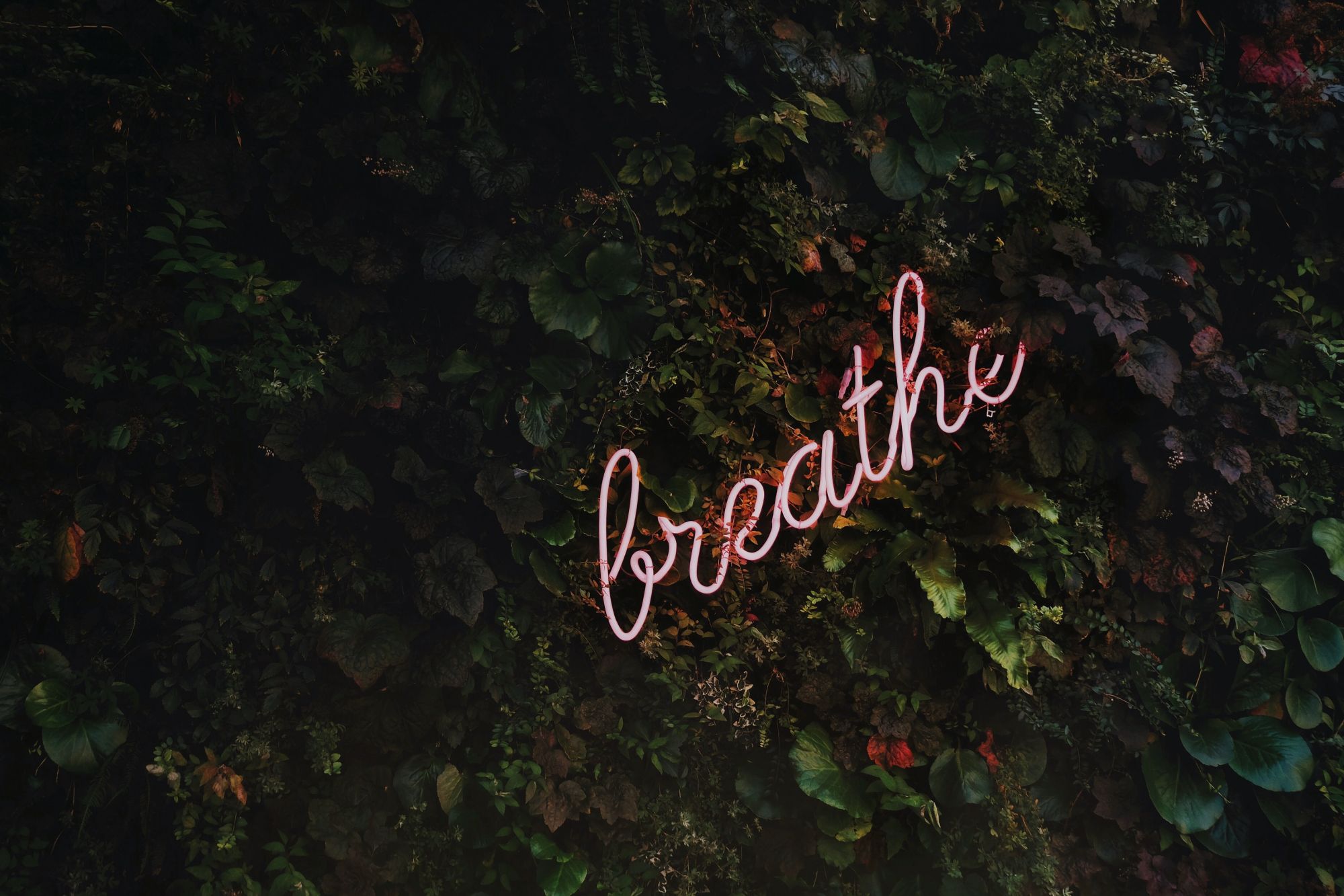 Top 5 Meditation Apps For When You're Feeling Overwhelmed