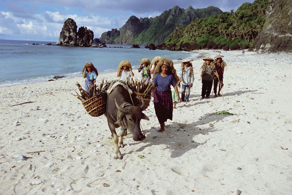 BATANES ISLANDS, PHILIPPINES: Everywhere in the Philippines people use carabaos or water buffalo (here called pagad) to carry heavy loads. Pictured on 2007 in Batanes Islands in Philippines. (Photo by Eric-Paul-Pierre PASQUIER/Gamma-Rapho via Getty Images)