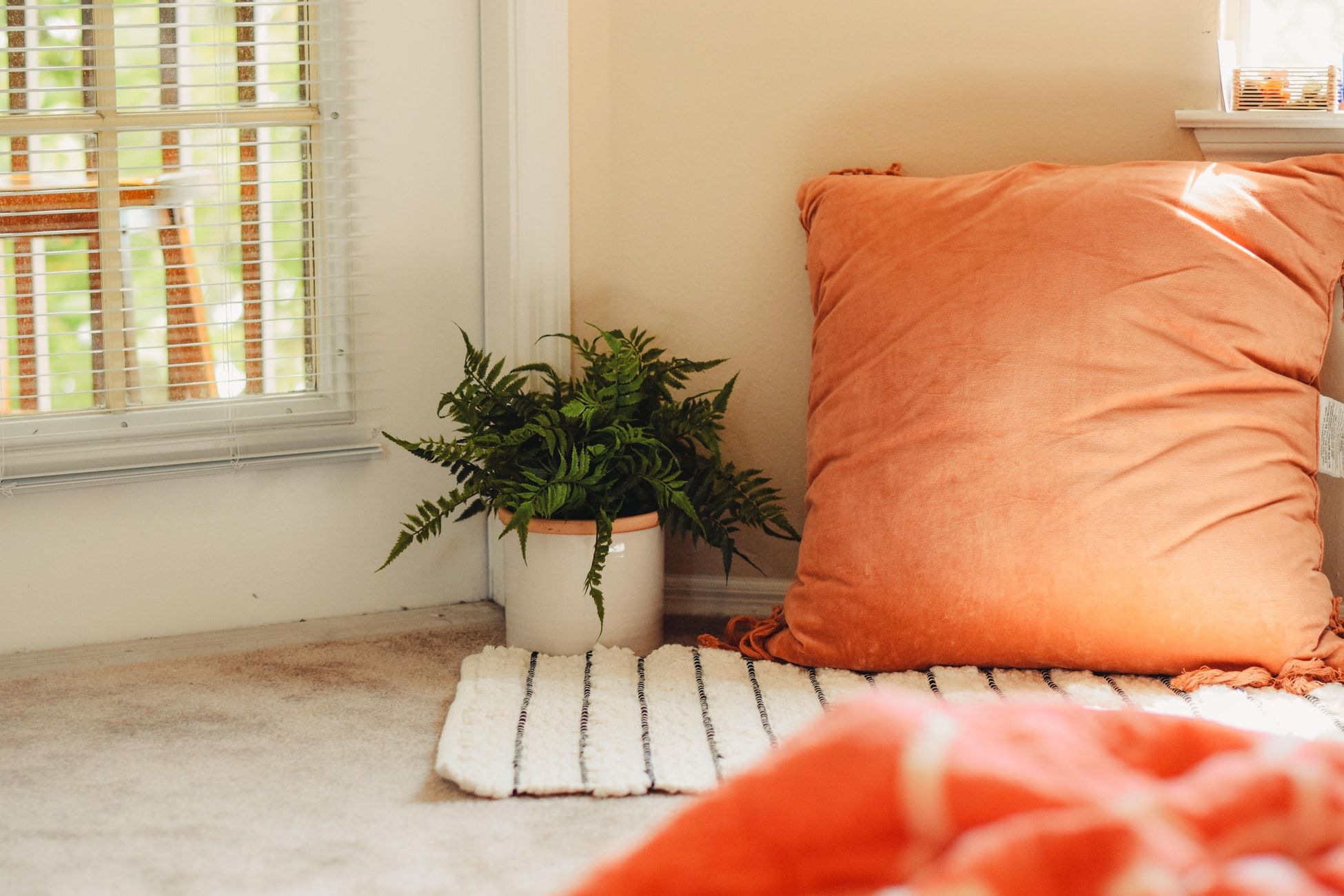 Photo: Sarah Brown on Unsplash