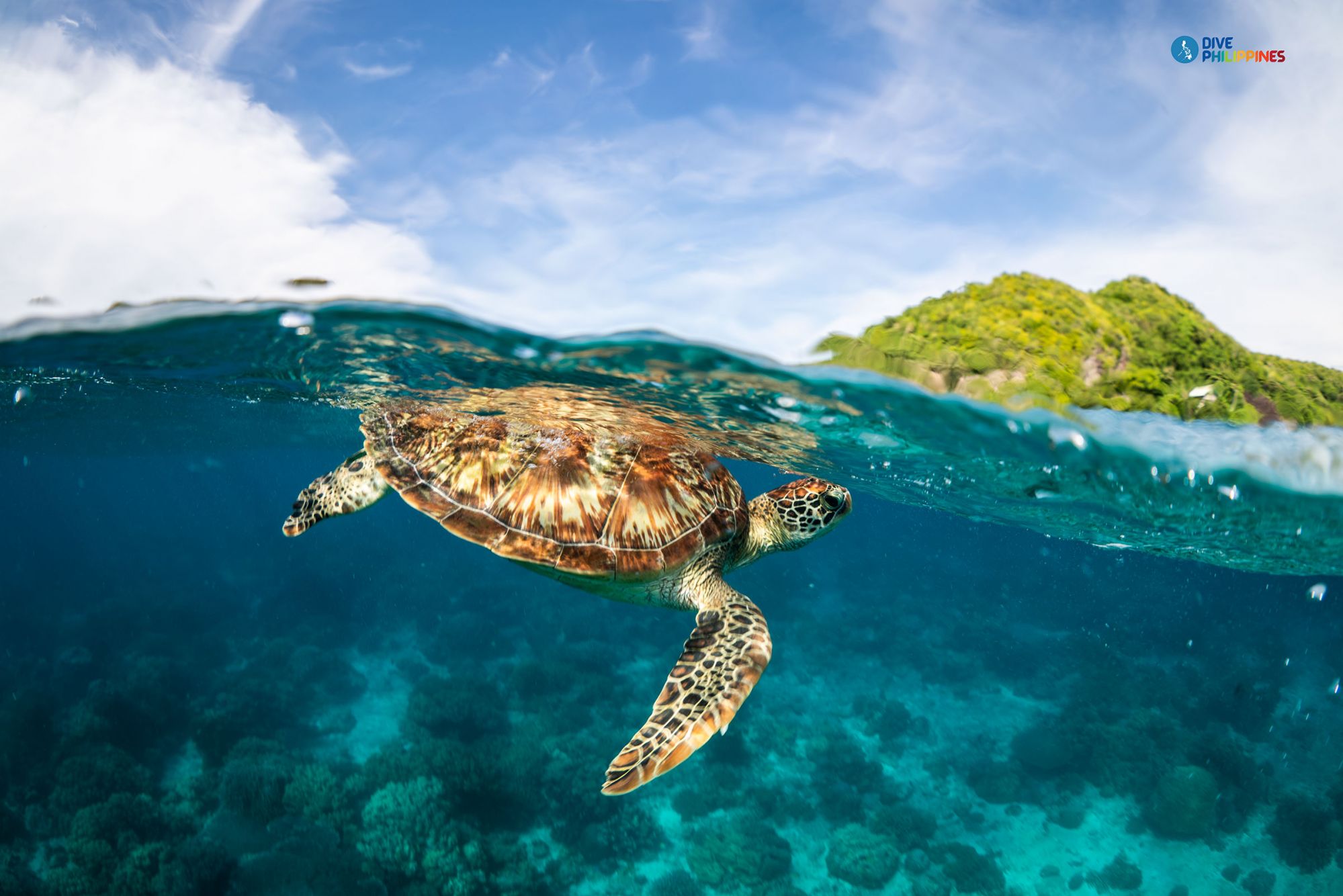 Dumaguete, Apo Island | Photo: Department of Tourism