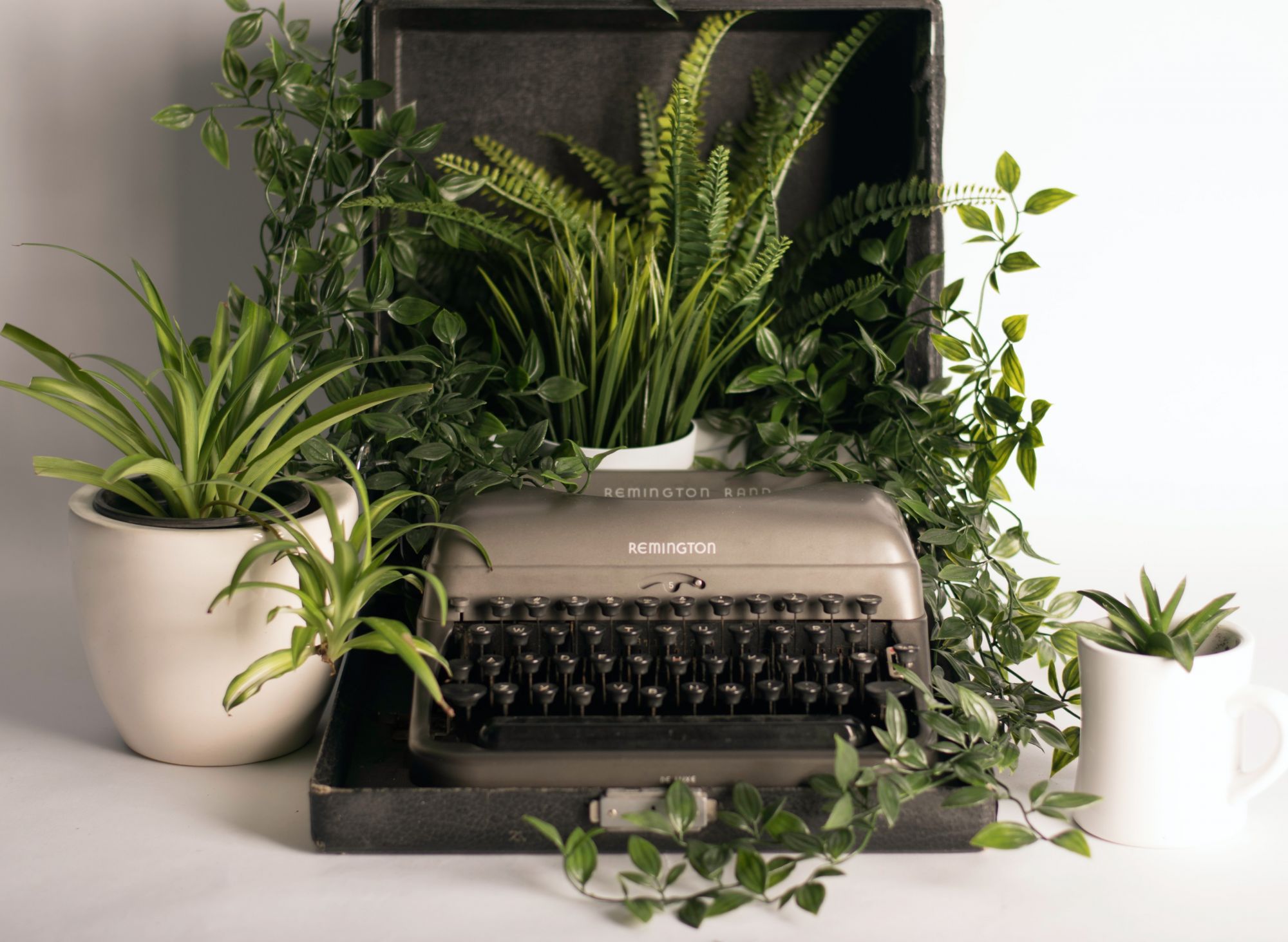 Photo by Shelby Miller on Unsplash
