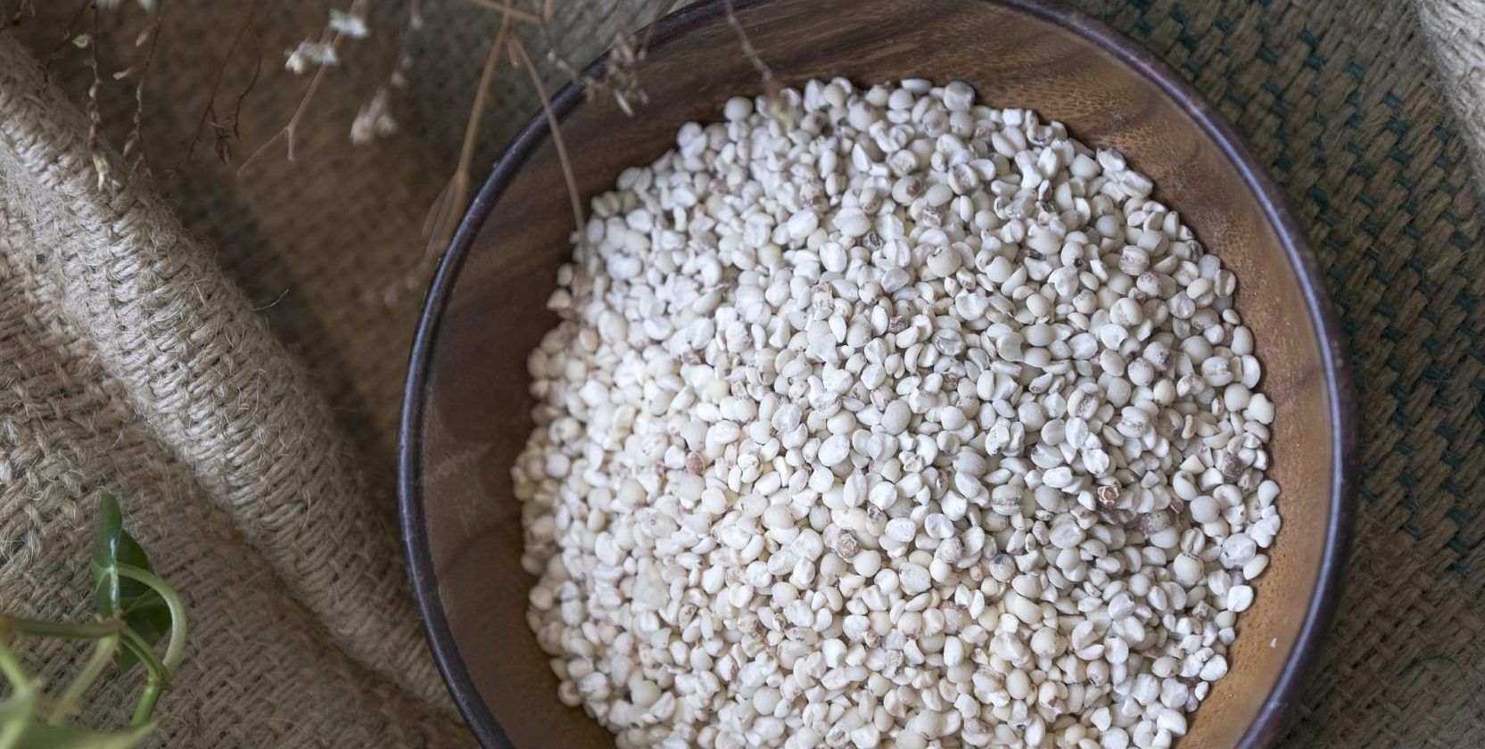 Rice Alternatives 101 Wild Rice, Quinoa, Freekeh, And Many More