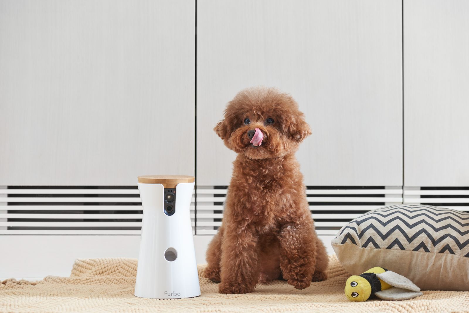 5 Clever Gadgets For Your Pets