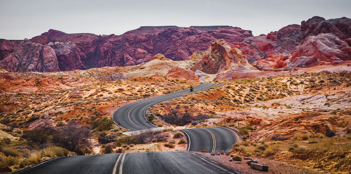 Which F1 Racer Would You Take On A Road Trip?