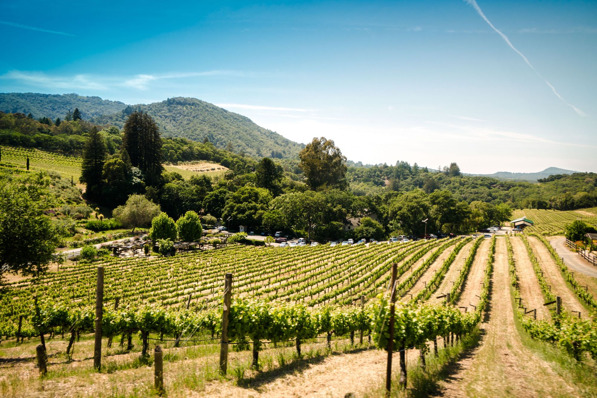 48 Hours In Sonoma, California