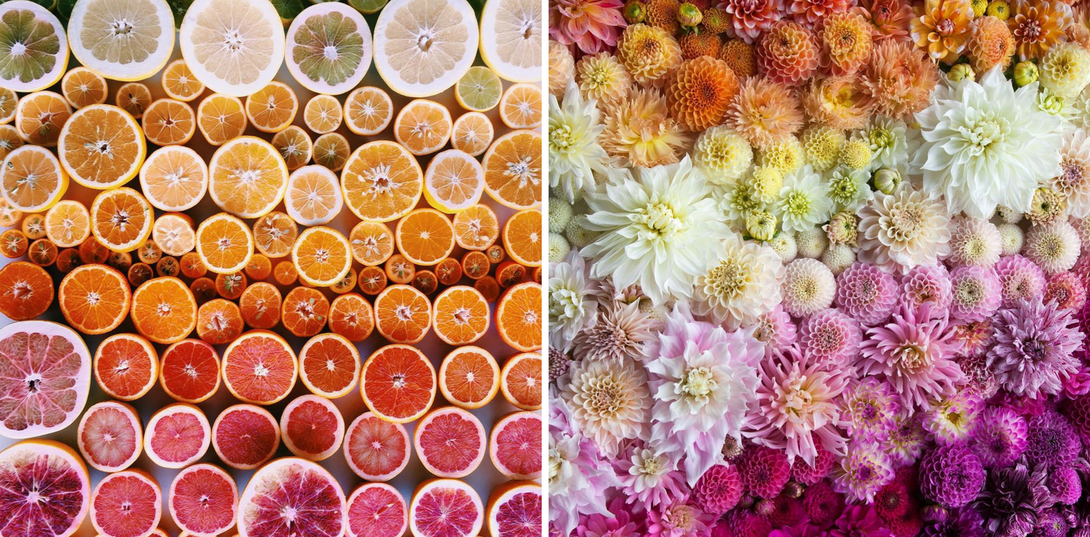 5 Highly Addictive Instagram Feeds To Follow