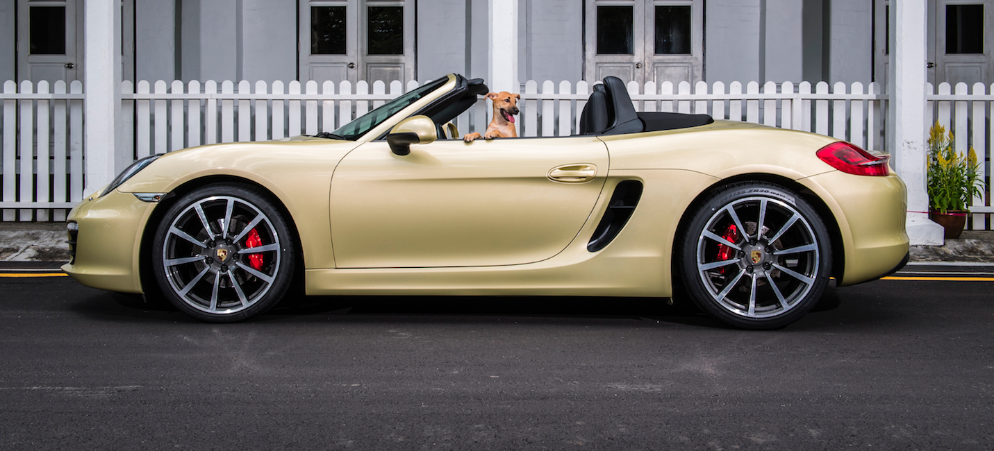 Porsche Celebrates The Year Of The Dog In The Cutest Manner