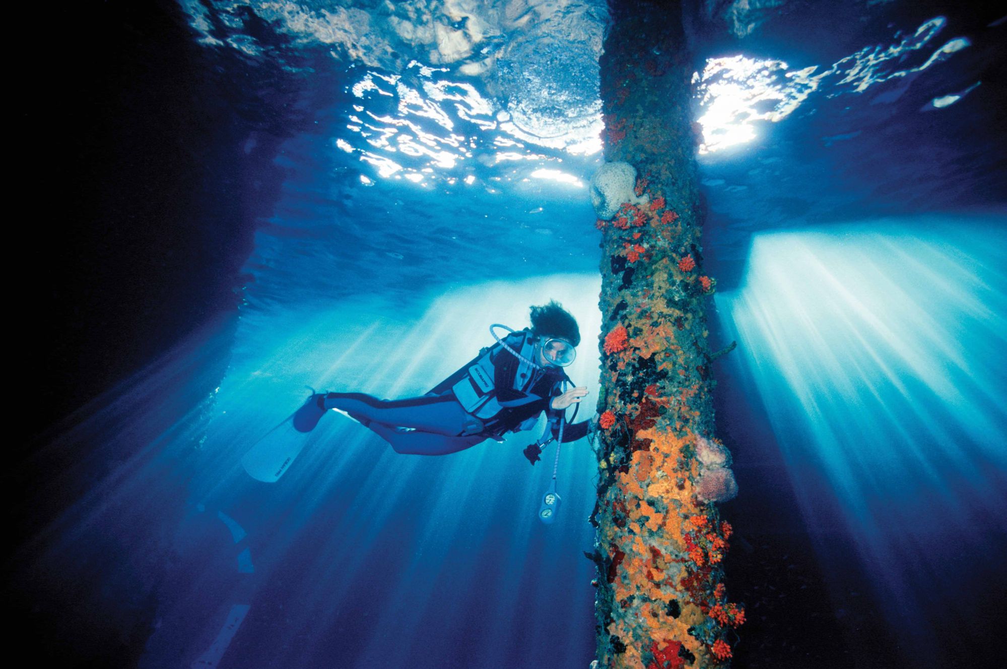 Into The Deep: A Rolex Expedition