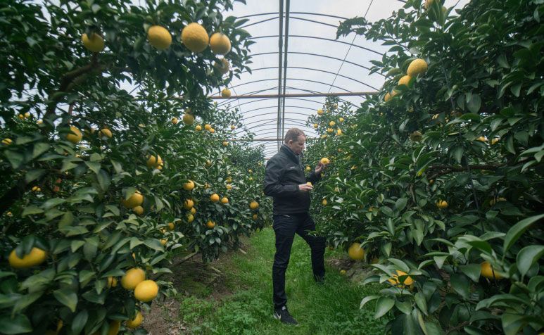 Go On A Japanese Odyssey With Richard Ekkebus Of Amber