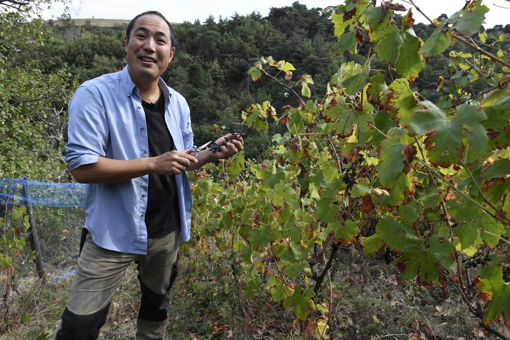 'Extreme' Japanese Winemaker Is A Natural