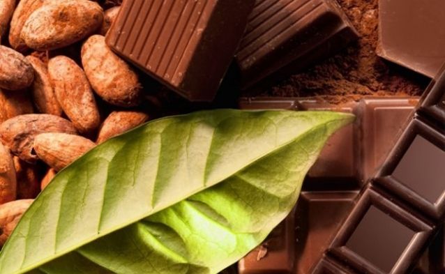 How to Taste Chocolate Like an Expert
