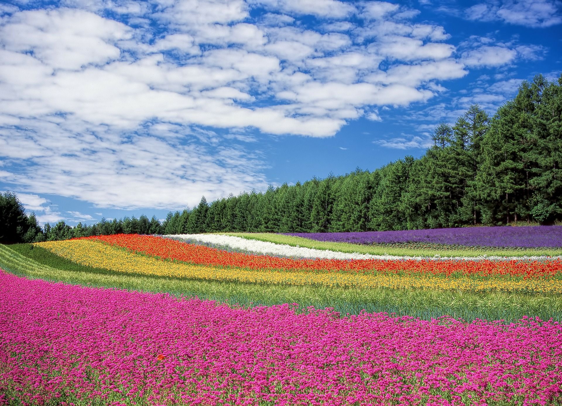 10 Holiday Destinations To Escape The Summer Heat