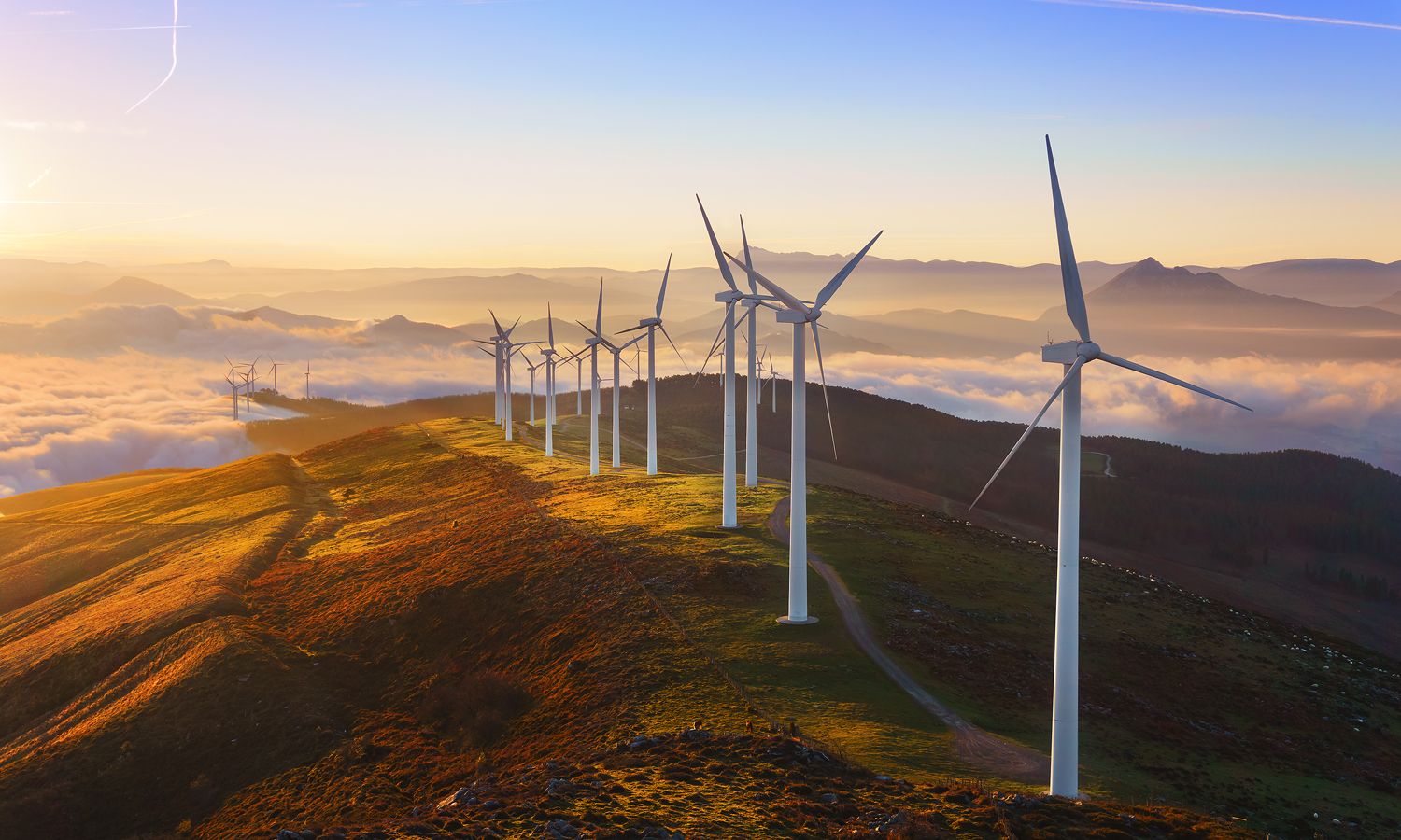 Should You Start Investing In Green Technology?