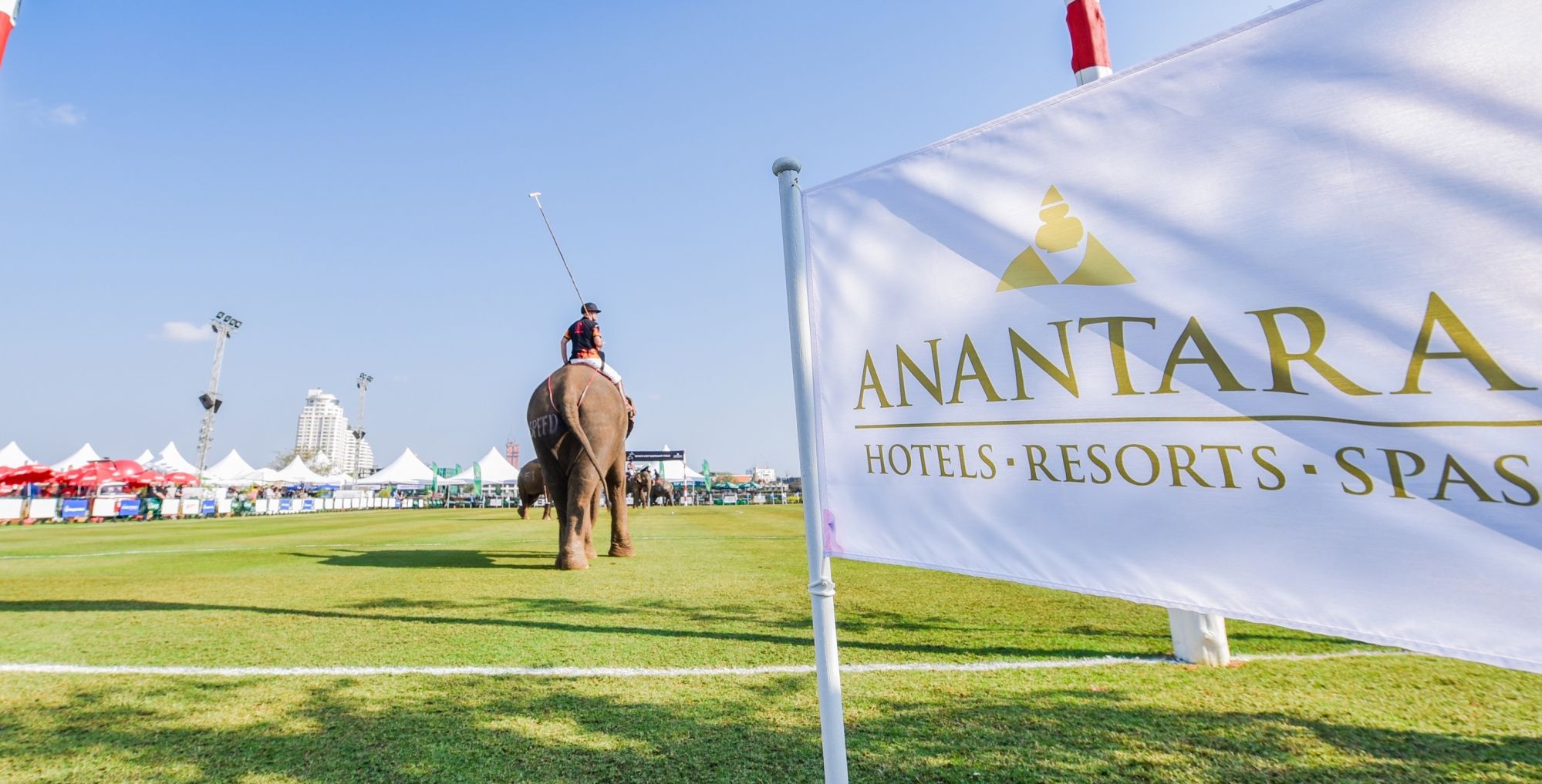 4 Things To Know About the Anantara King’s Cup Elephant Polo Tournament