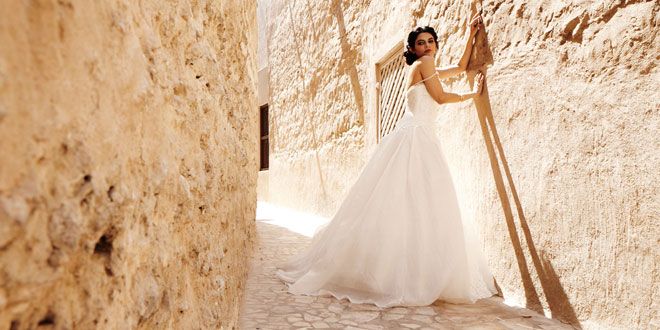 Desert Rose