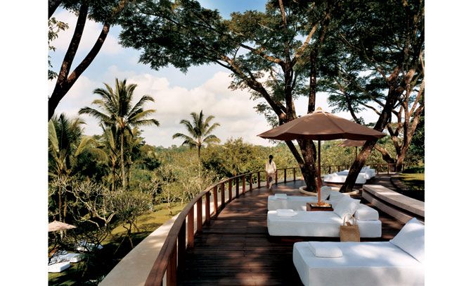 Healthy holidays with COMO Shambhala Estate
