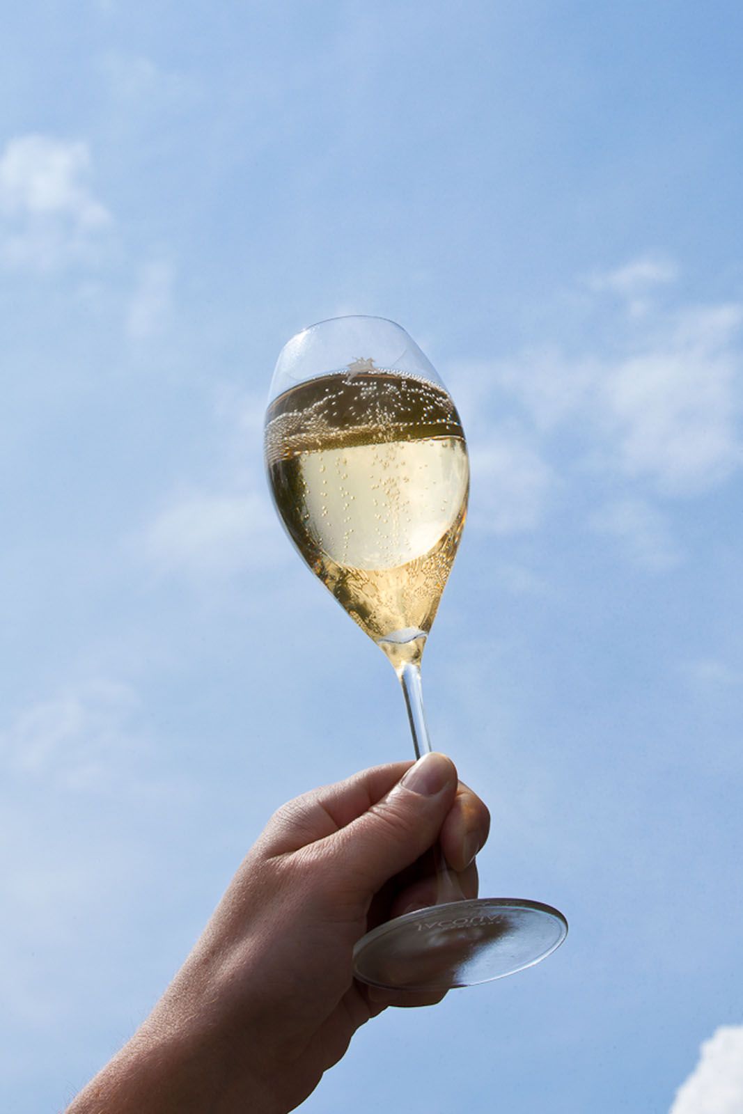 7 Of The Rarest Champagnes In The World