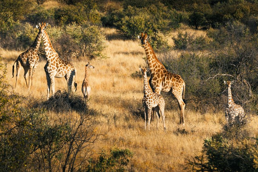 Tatler Editors Share What's On Their Travel Bucket List For 2019