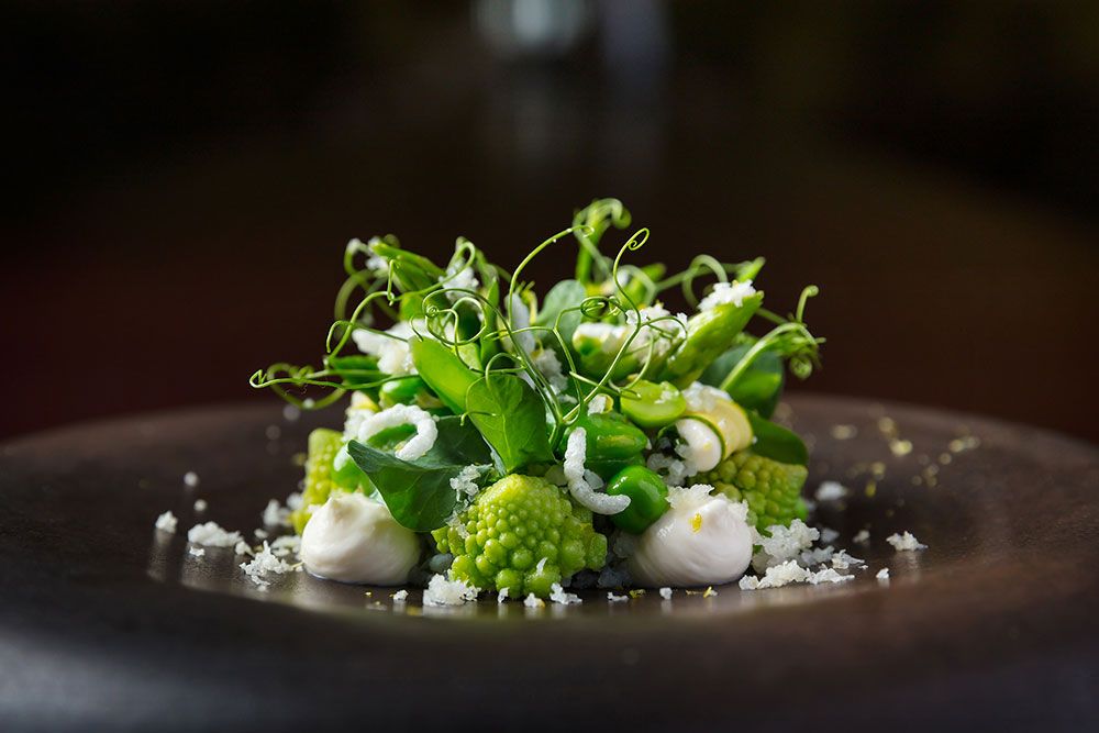 Where To Eat This Week: Summerlong, The Dragon Chamber, Jam at Siri House, Table65, The Lobby Lounge