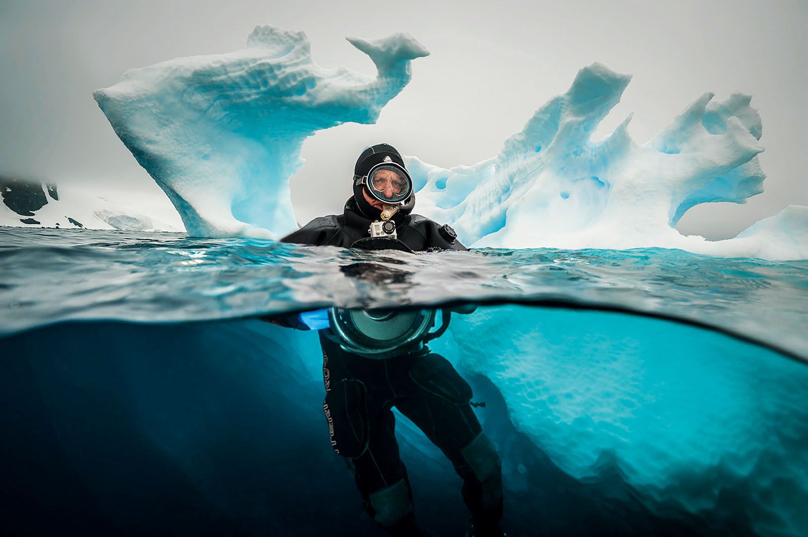 Sylvia Earle and David Doubilet Offer Sound Advice To Back The Rolex ...