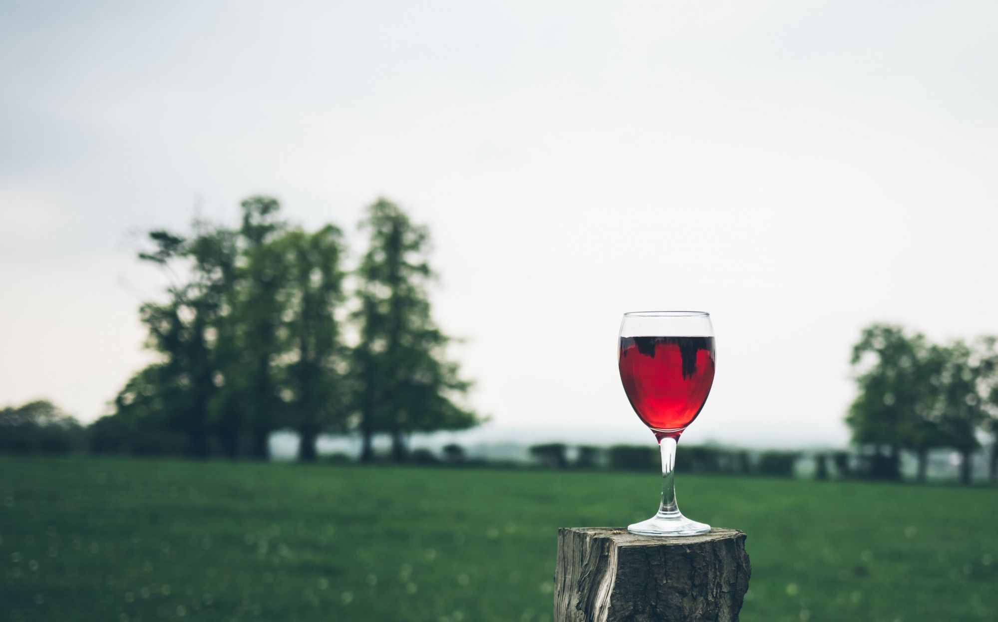 9 Of The Best Wines From Canada And Northern Europe To Try