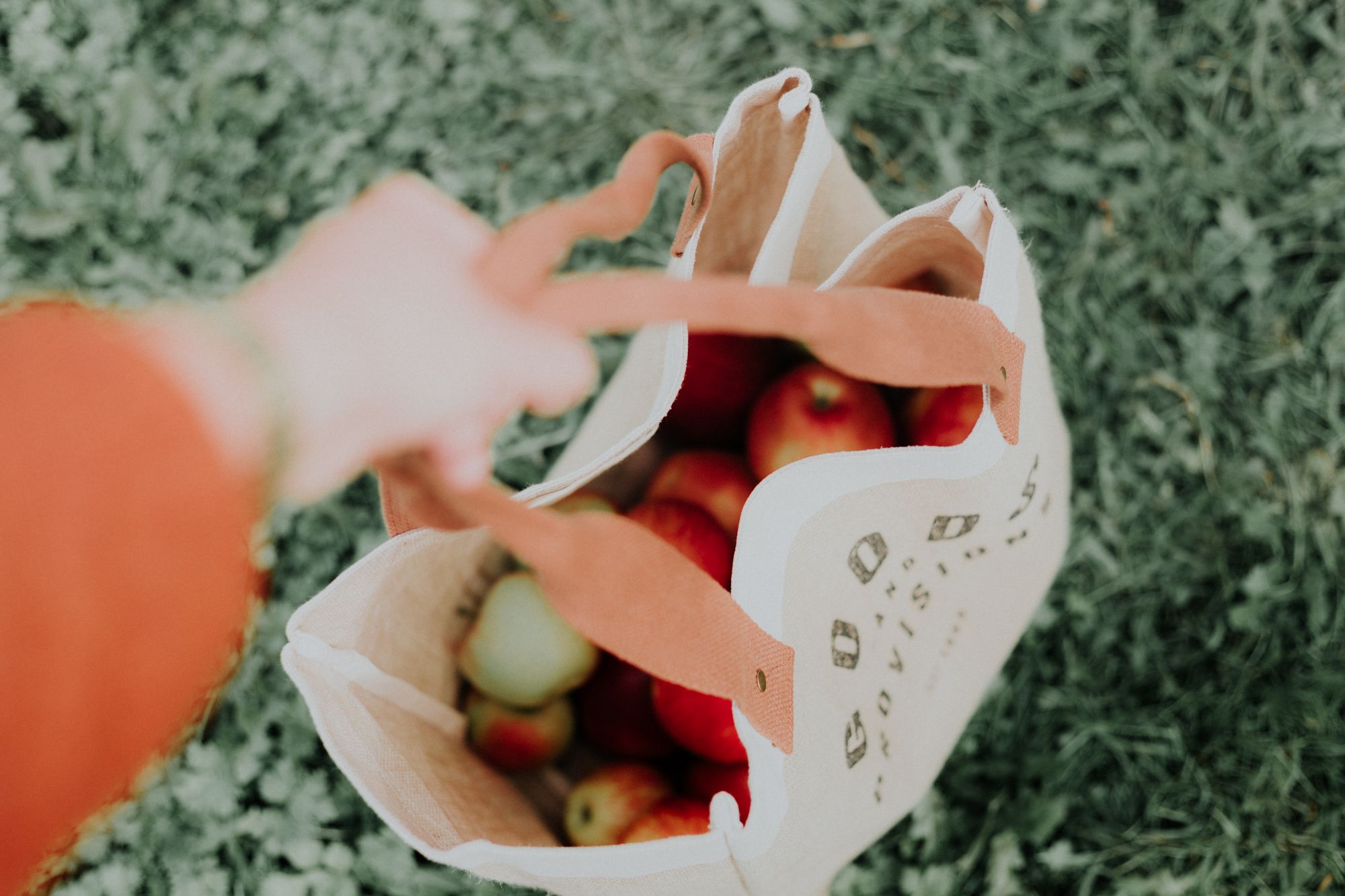 7 Easy Ways to Have a More Sustainable And Eco-Friendly Lifestyle in 2020