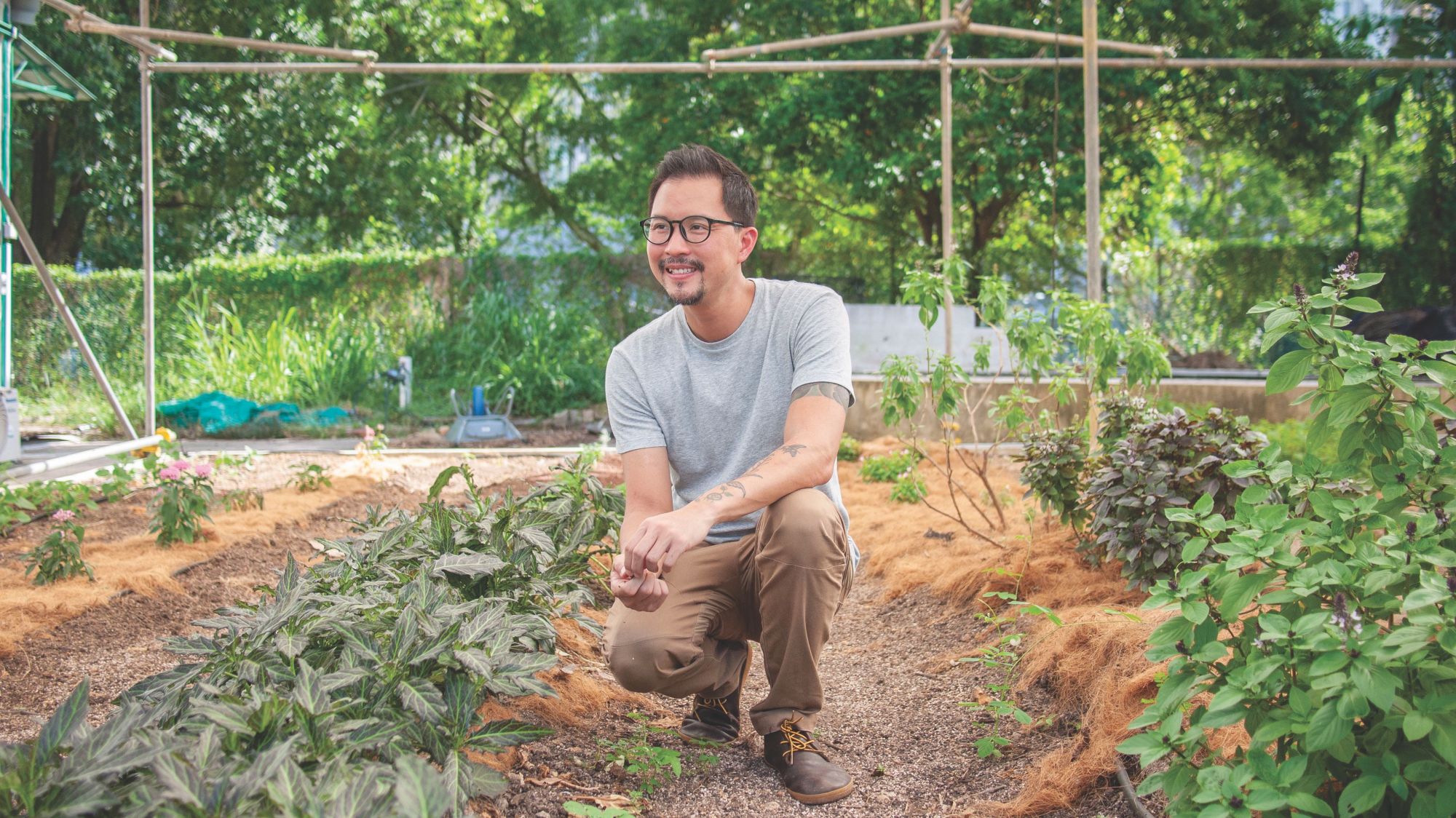 Edible Garden City's Bjorn Low Redefines Urban Farming For Greater Impact in Singapore