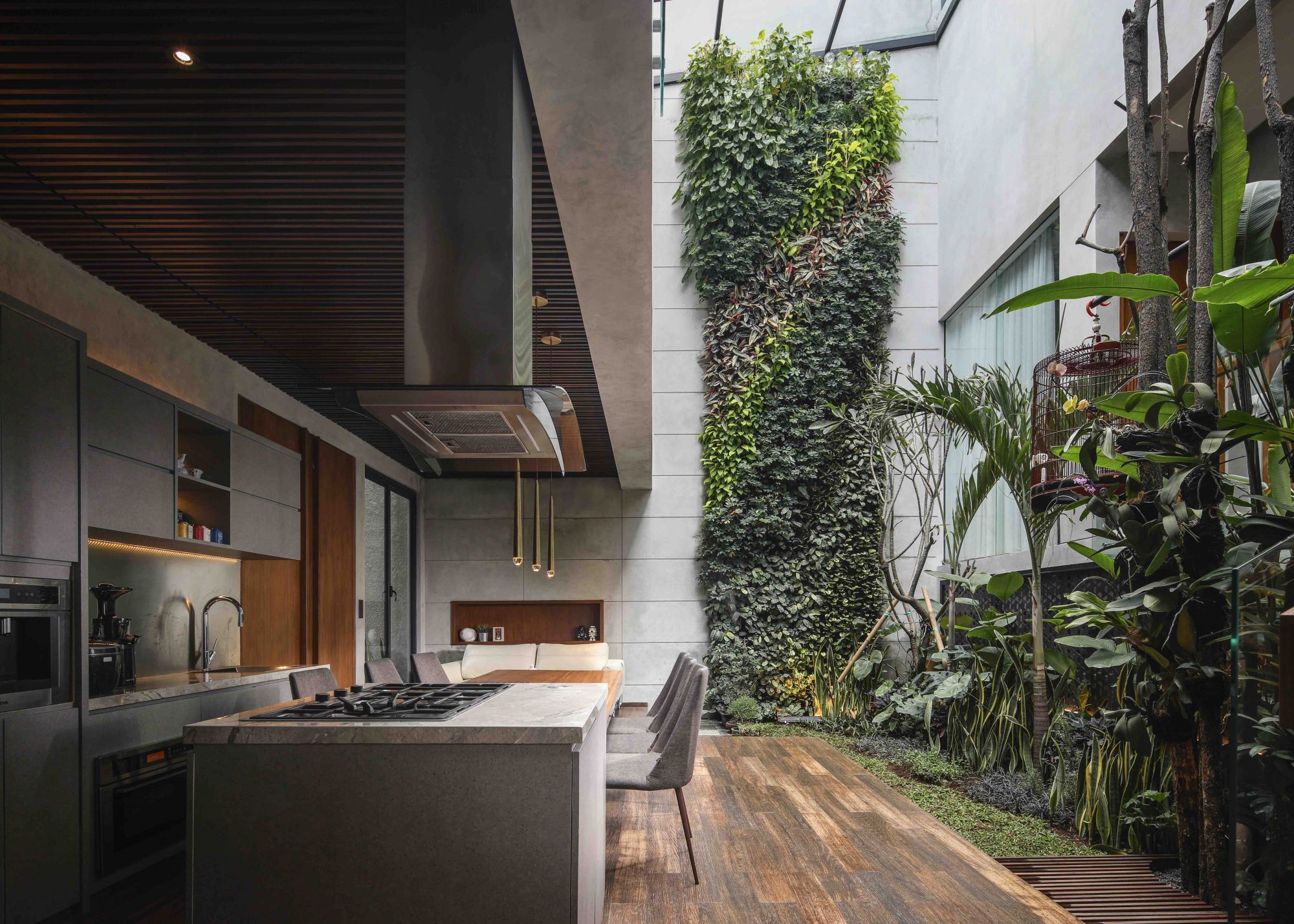 由Studio Avana設計的Lumière House,在廚房一旁設計了室內綠色花園。
