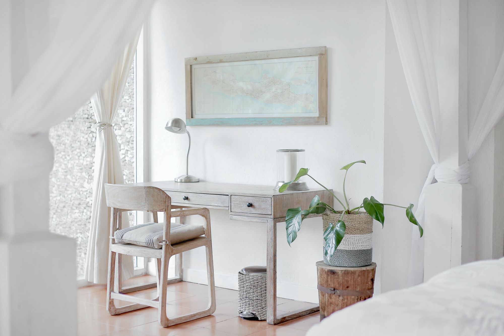 3 Potted Plants That Can Boost Your Productivity