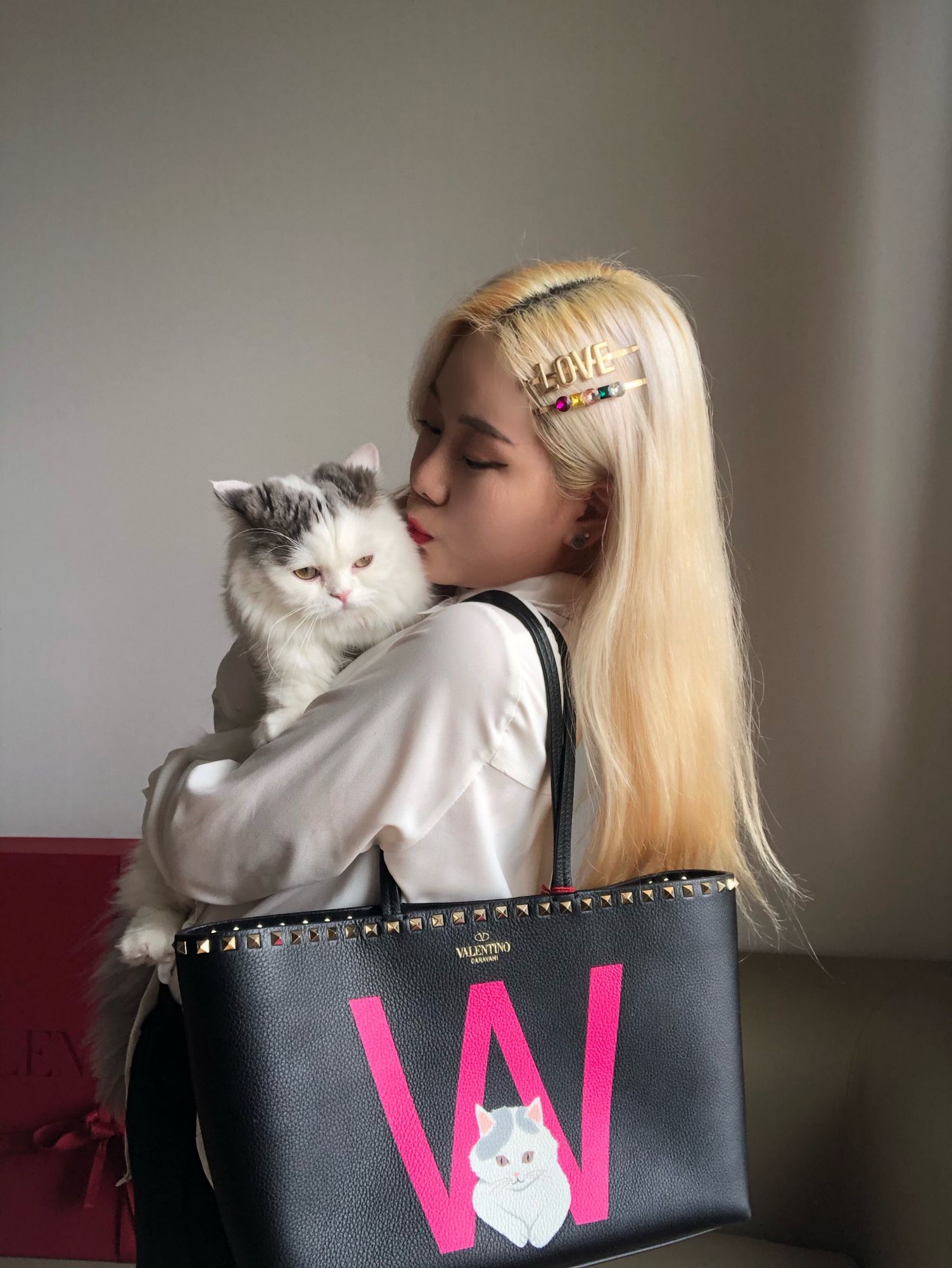 valentino dog bag