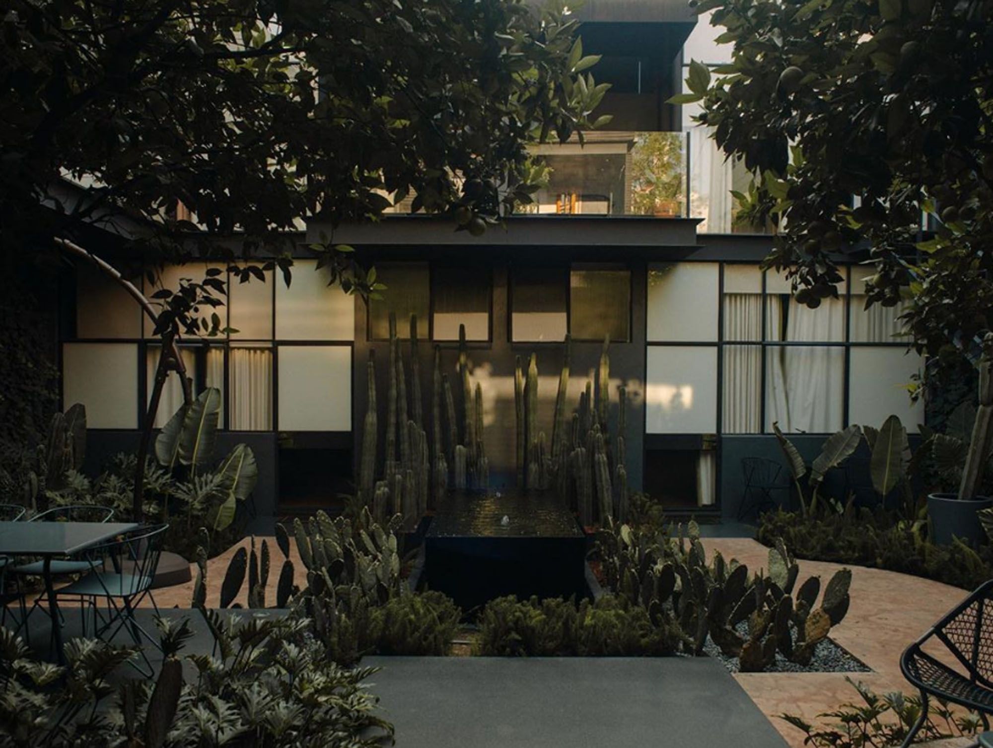 Ignacia Guesthouse 的周圍處處都是仙人掌。