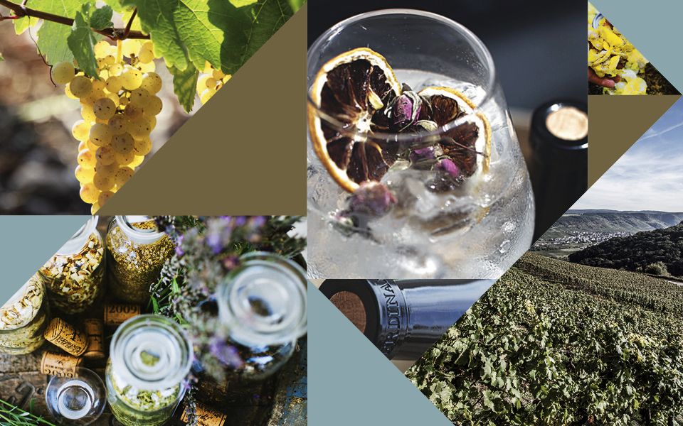The Tatler Bar Recommends: 4 Unique Ferdinand’s Saar Gins to Know