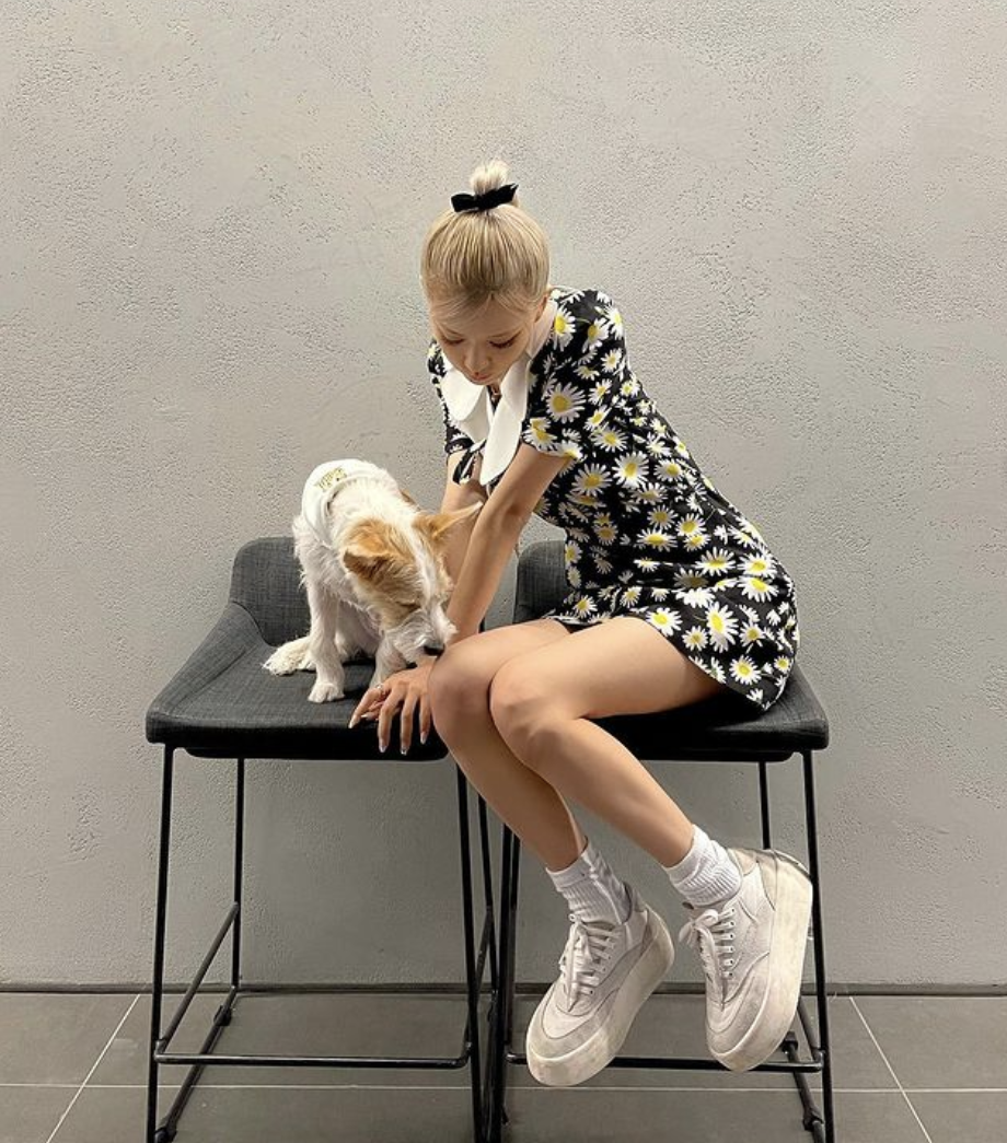 Saint Laurent dress (Image: Roses_are_rosie/Instagram)