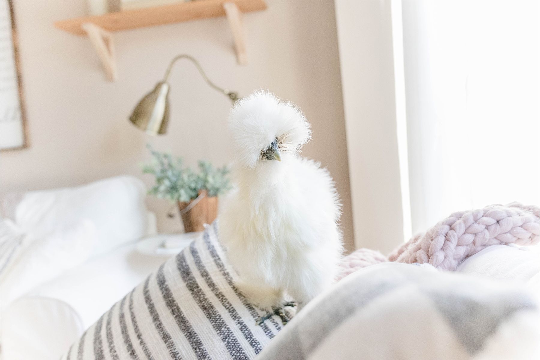 (Image: Unsplash)