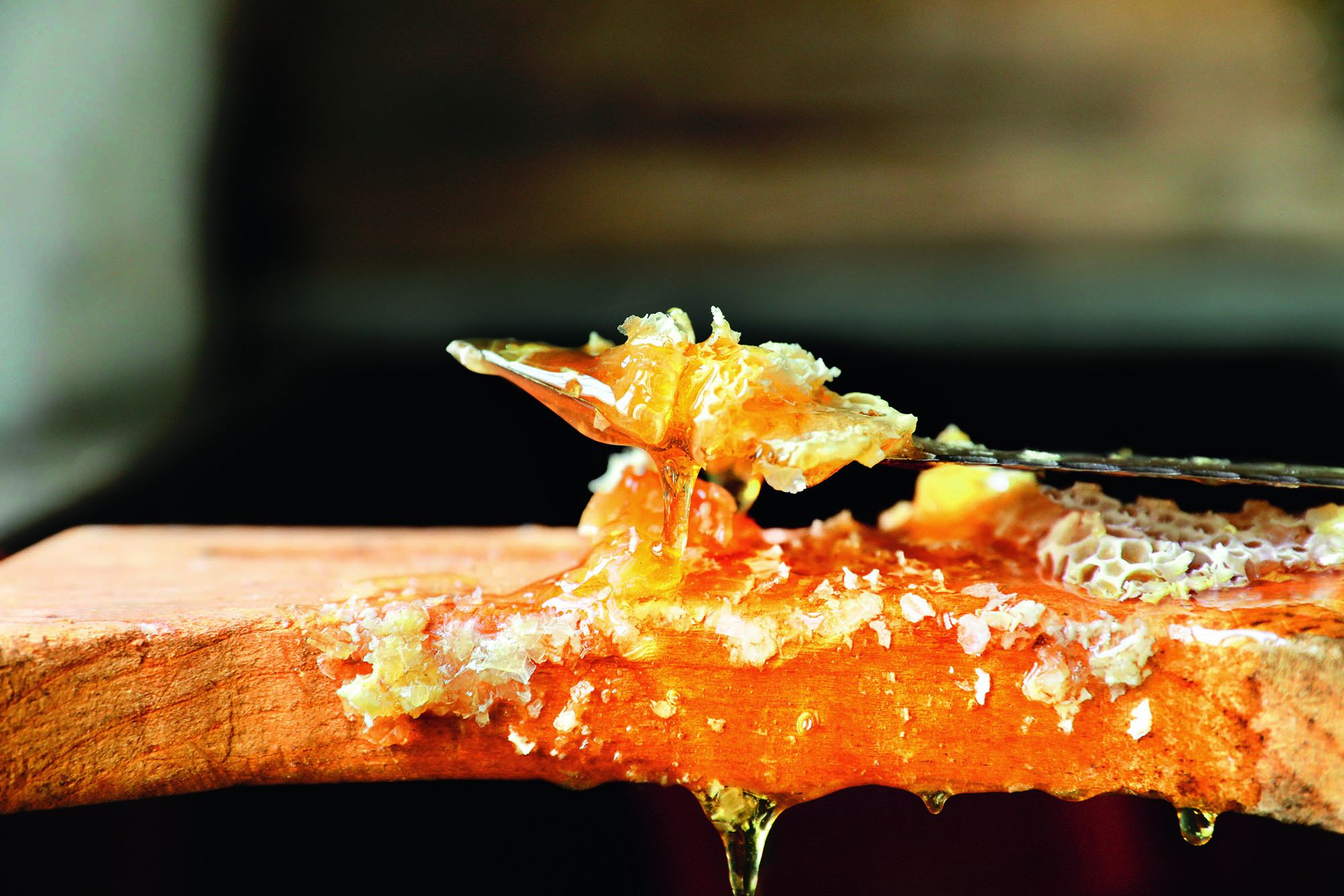 World Bee Day 2021: Guerlain Wants to Protect Bees Everywhere