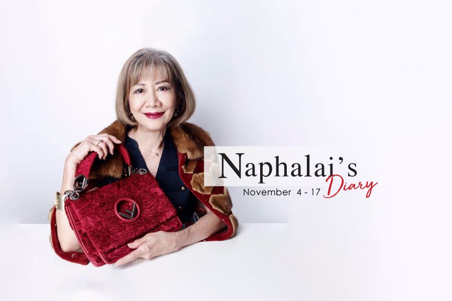 Naphalai's Diary: November 4-17