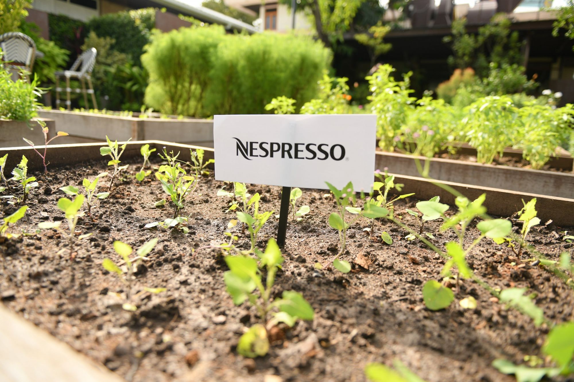 Nespresso And Baan Tepa Present A Sustainable FineDine Experience