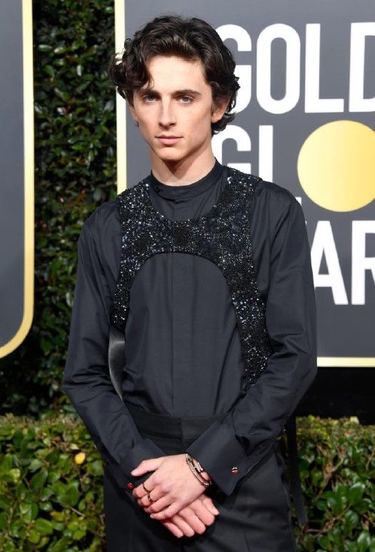 TIMOTHÉE CHALAMET堤摩西·柴勒梅德 (入圍電影最佳男主角)