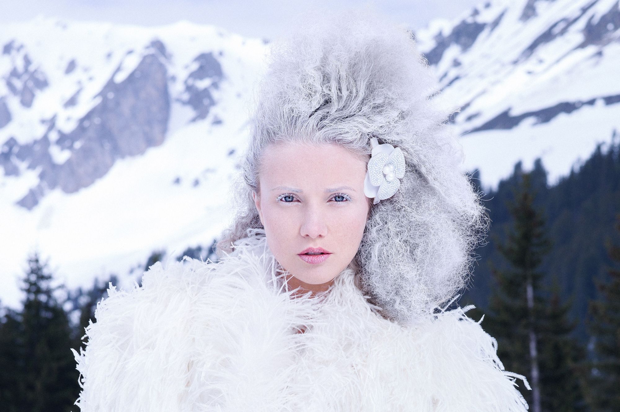 冰雪森林山茶花仕女夾