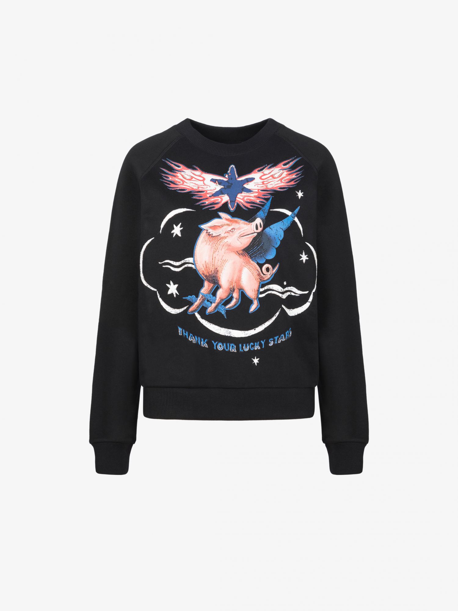 Givenchy Flying Pig 長袖運動衫。
