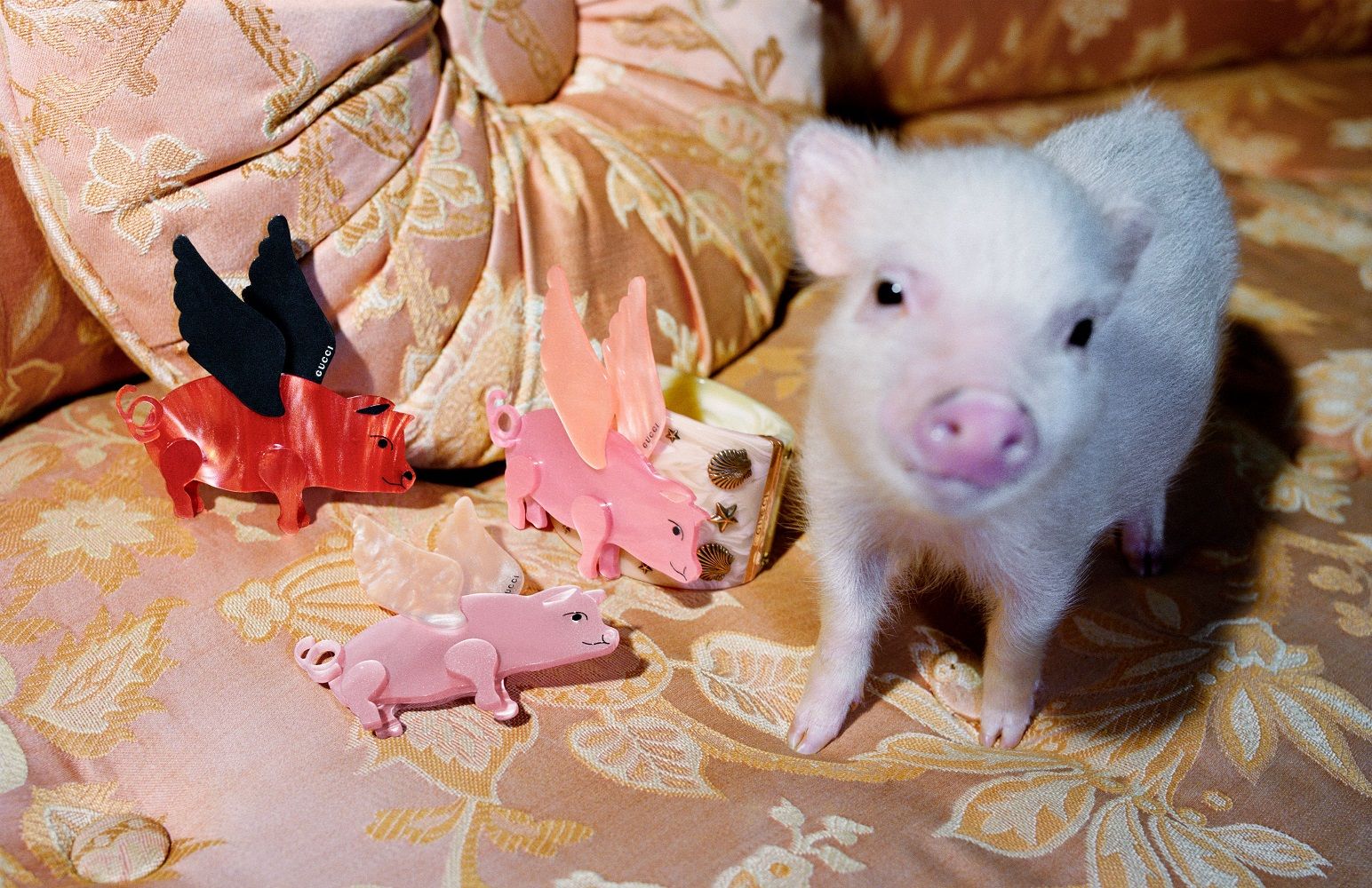 Gucci 2019 農曆年限定系列 Courtesy of Gucci, The Three Little Pigs © Disney。