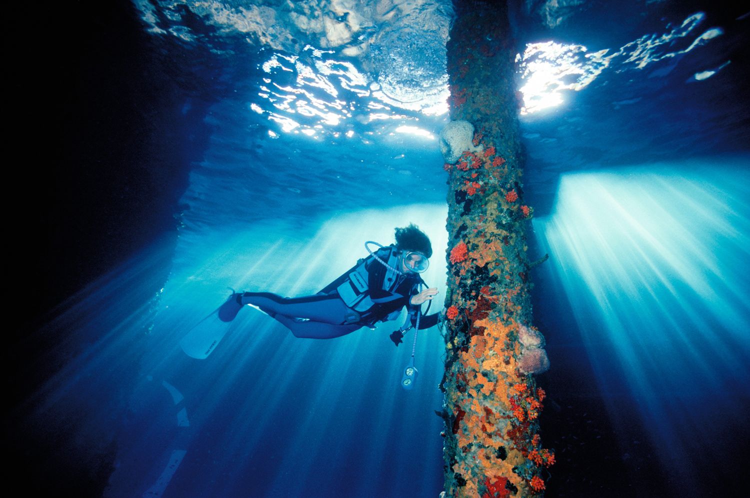 Rolex代言人Sylvia Earle ©David Doubilet。
