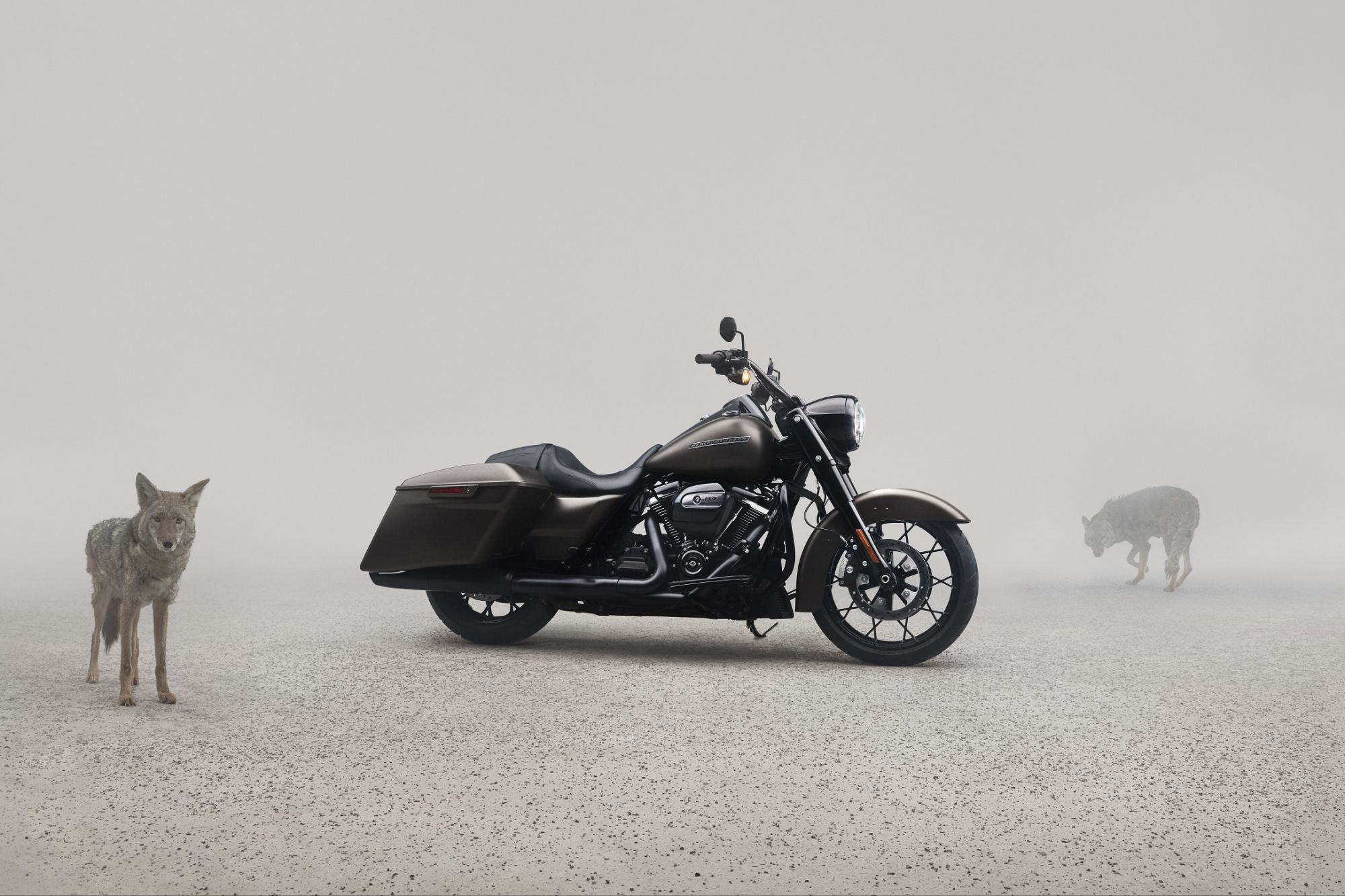 Model Year 2020 Asset Capture Production MY20.