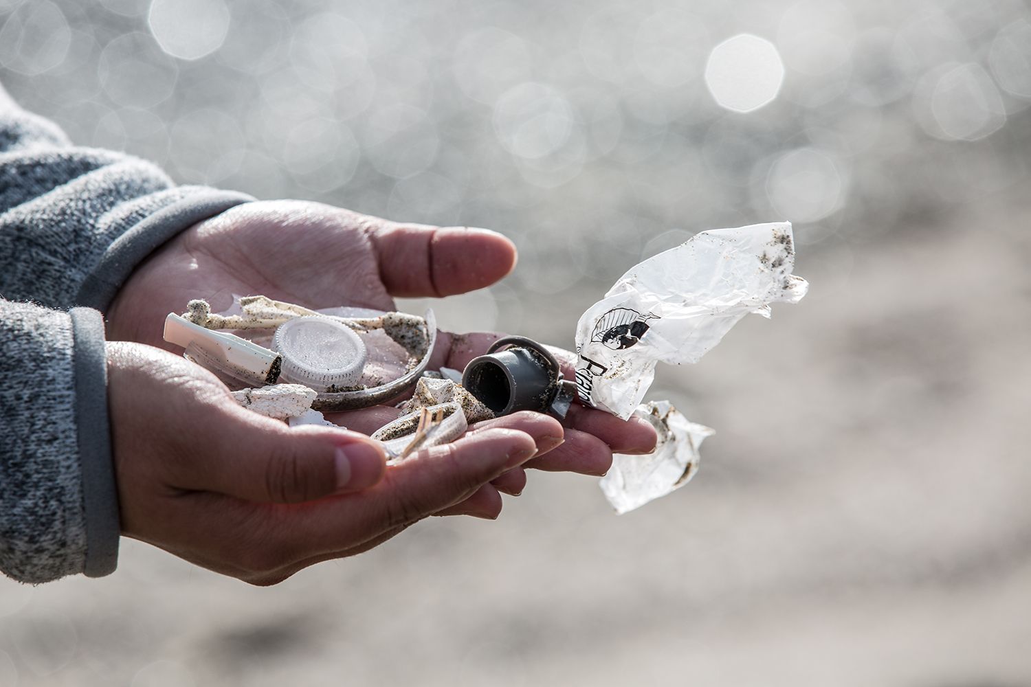 The many forms of plastic waste gathered by Miranda Wang at a beach in California.