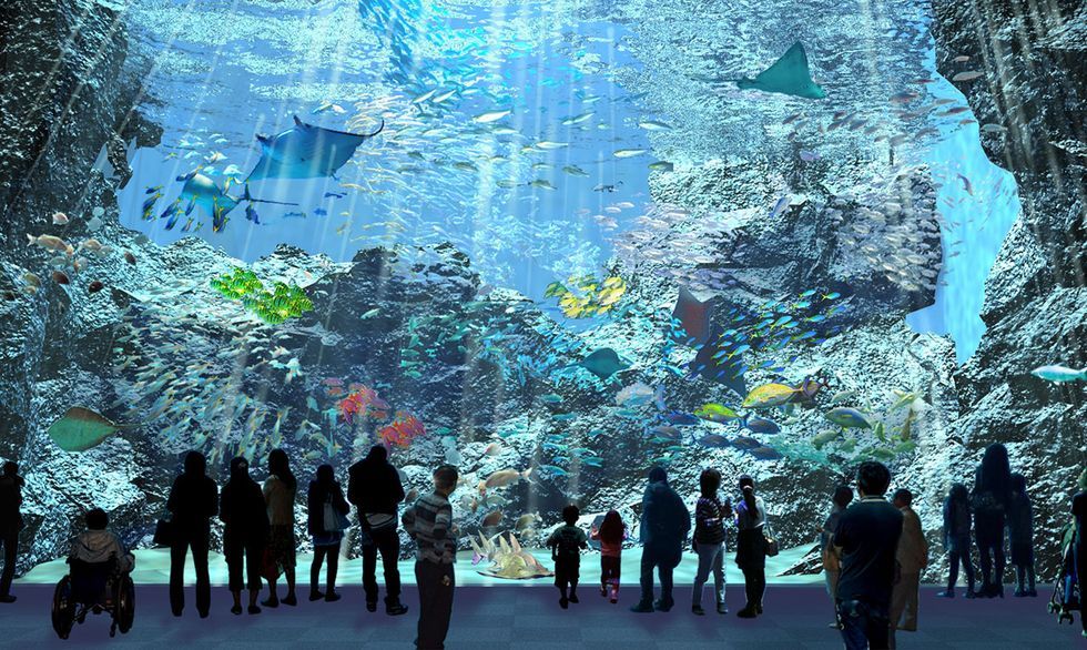 北台灣最大水族館「桃園Xpark」即將開幕!4500坪大型佔地、13種特色展區,還有企鵝陪你喝下午茶?