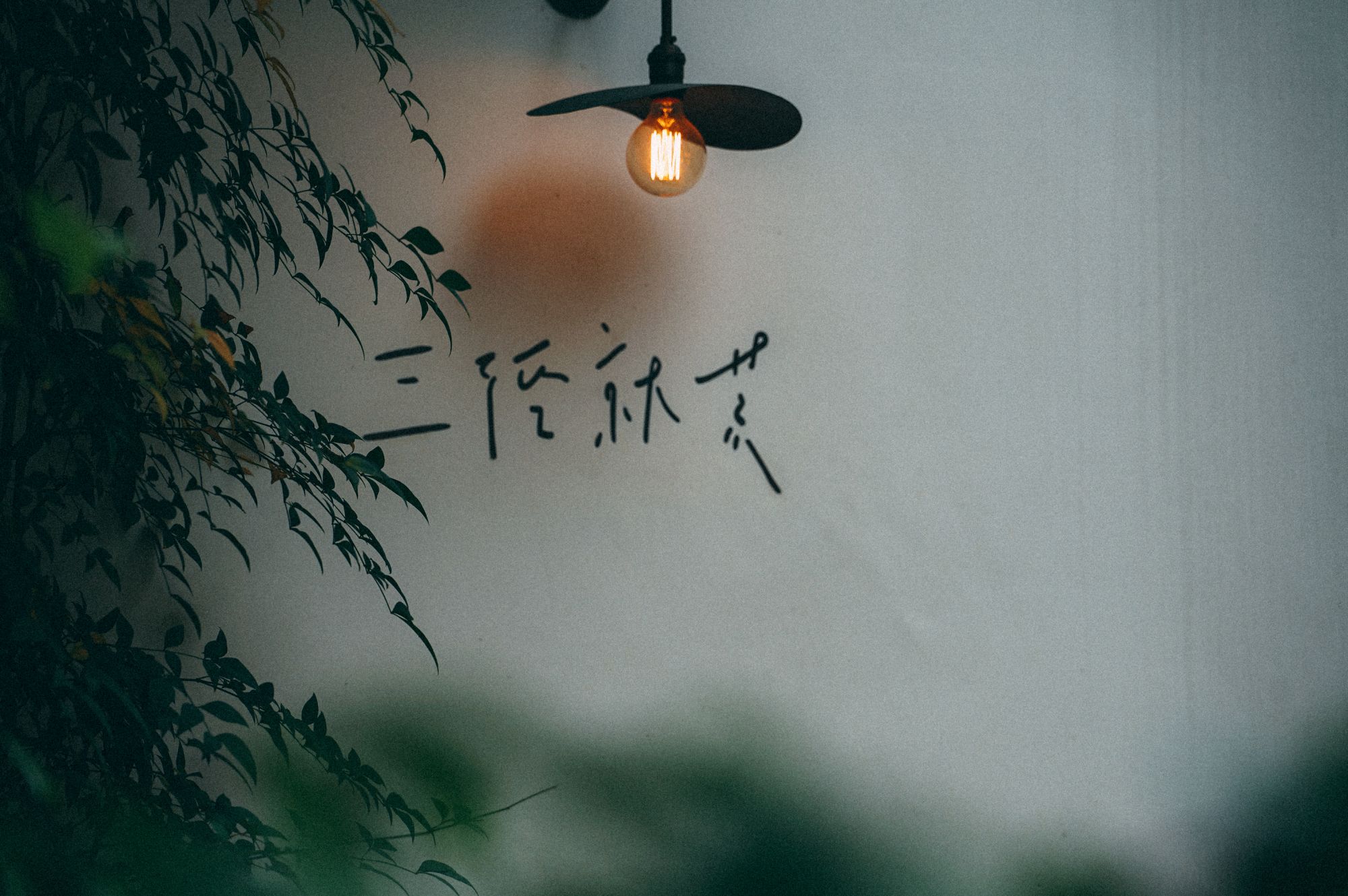 非典型茶空間的當代飲茶思潮與美學!「猶存的風骨是習茶的科學精神」:三徑就荒